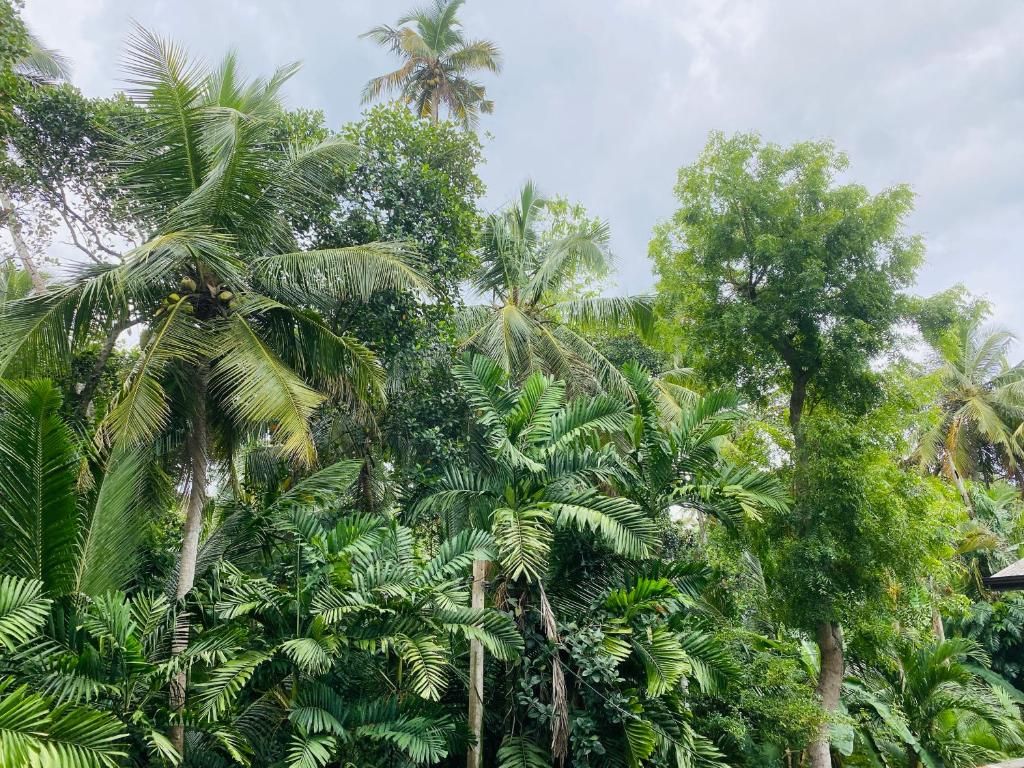 Navora Home Stay фото 18