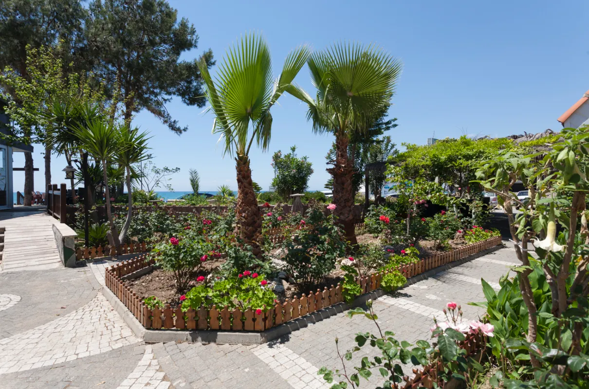 Clover Magic Nova Beach Hotel фото 2