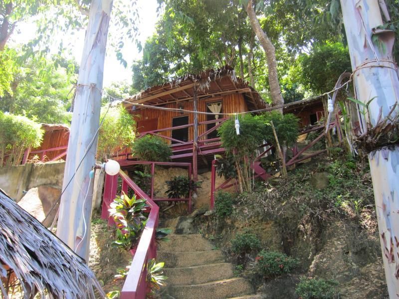 Bamboo Mountain View фото 28