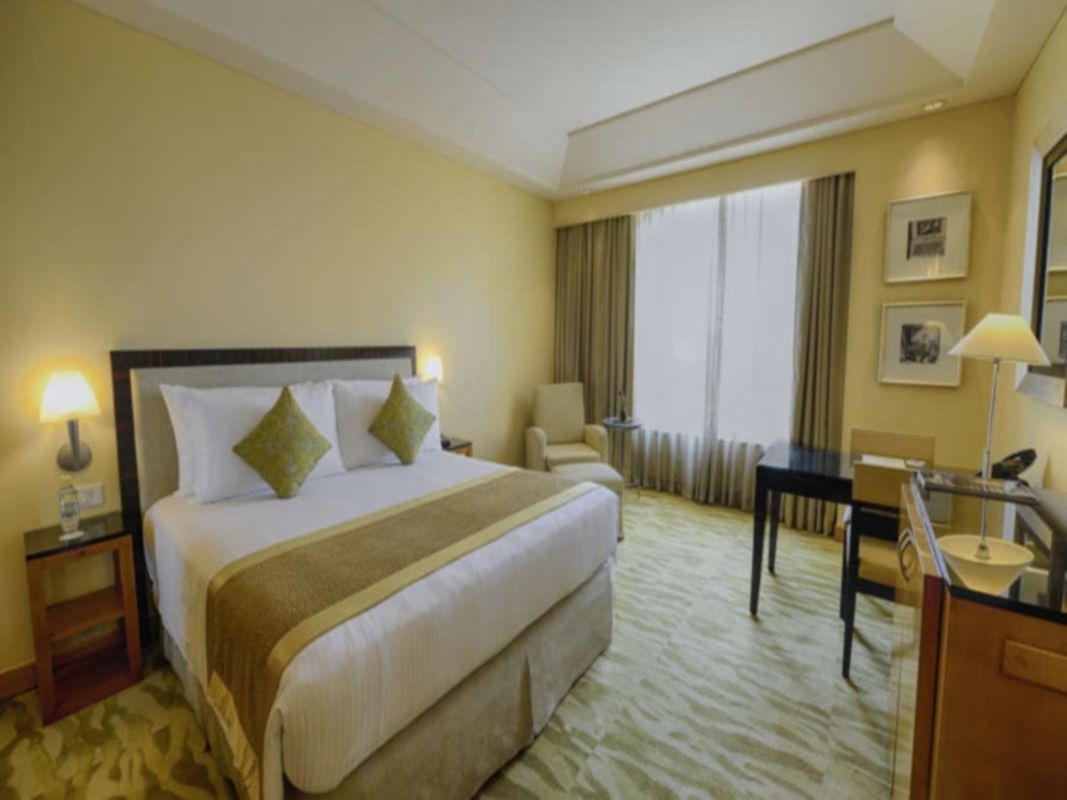 The Grand New Delhi Hotel фото 13