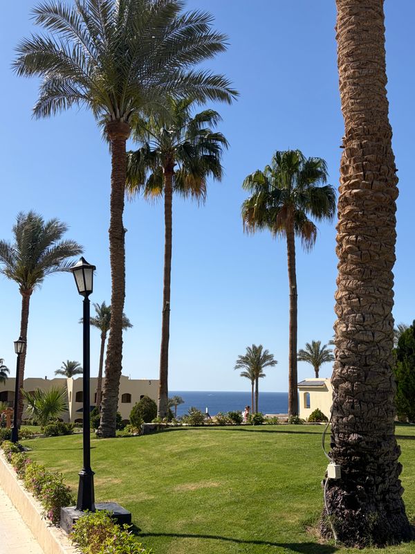 Grand Oasis Resort фото 63