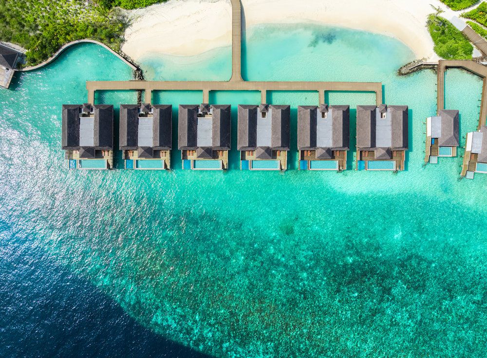 dusitD2 Feydhoo Maldives фото 61