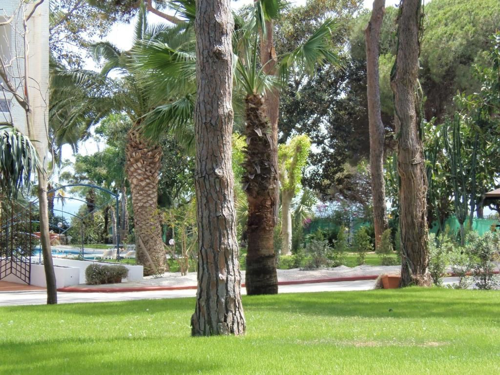 Abamar Club фото 32
