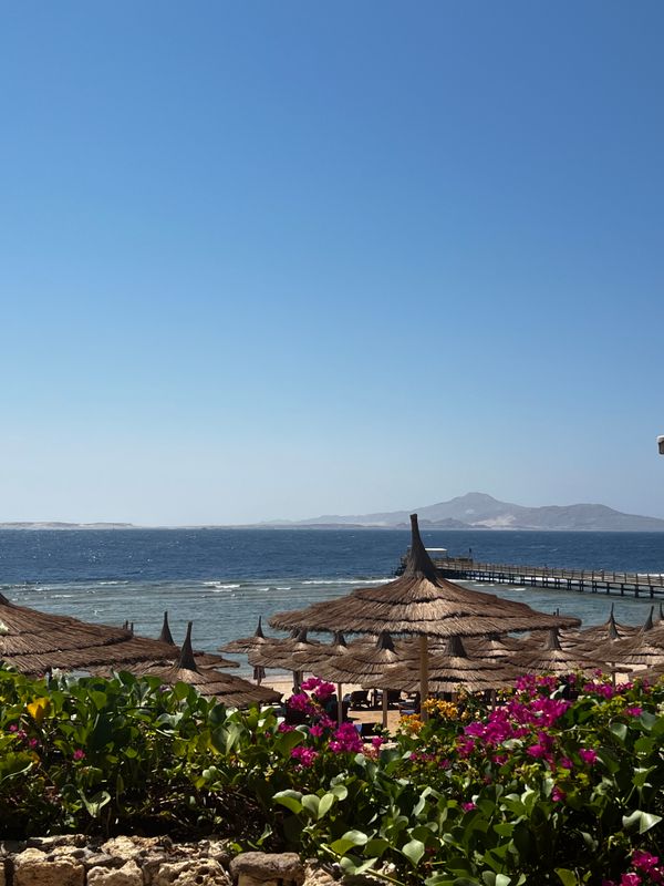 Cleopatra Luxury Resort Sharm (Adults Only) фото 39