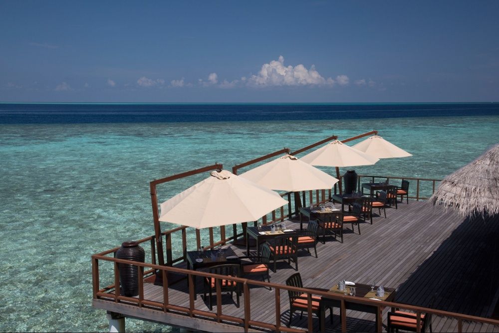 Coco Bodu Hithi фото 78