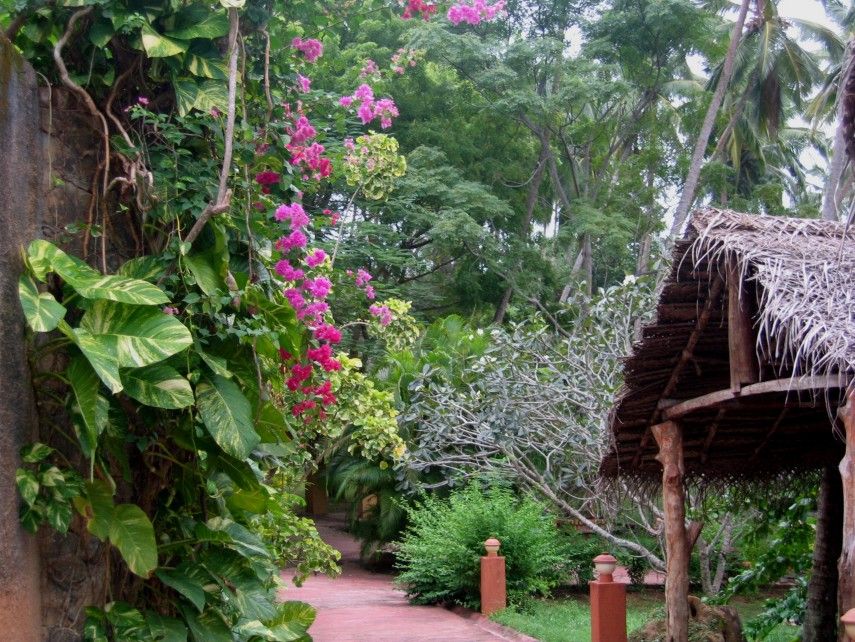 Eva Lanka Hotel фото 55
