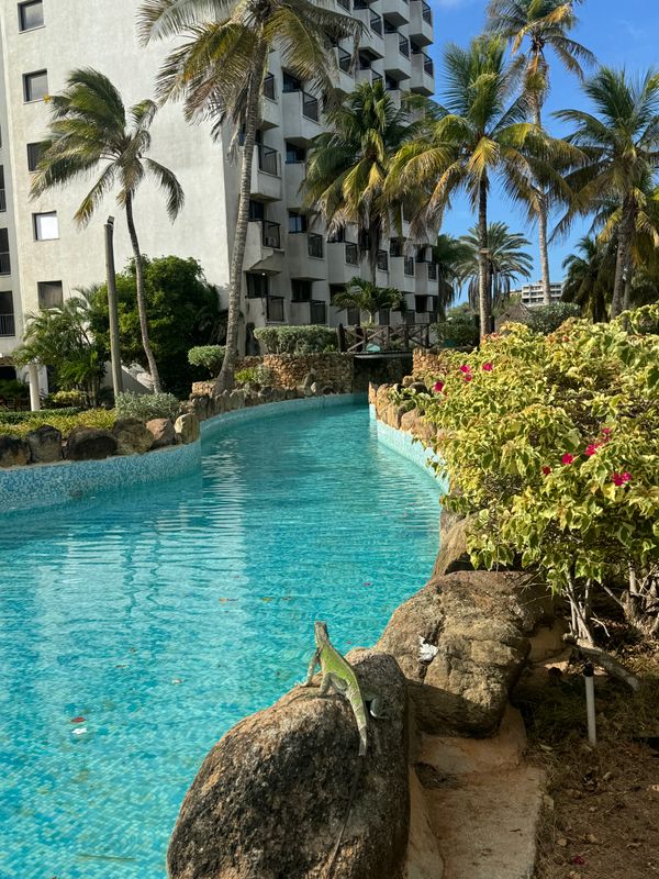 Hotel Venetur Margarita фото 72