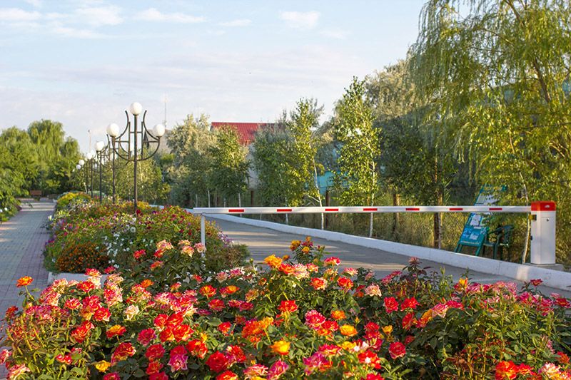 База отдыха «Запорожская Cечь» фото 77