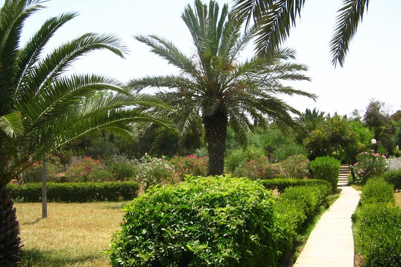 Residence Kantaoui фото 6