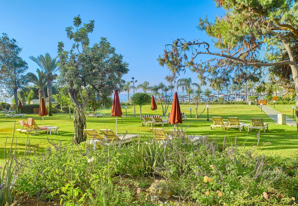 St Raphael Resort & Marina фото 35