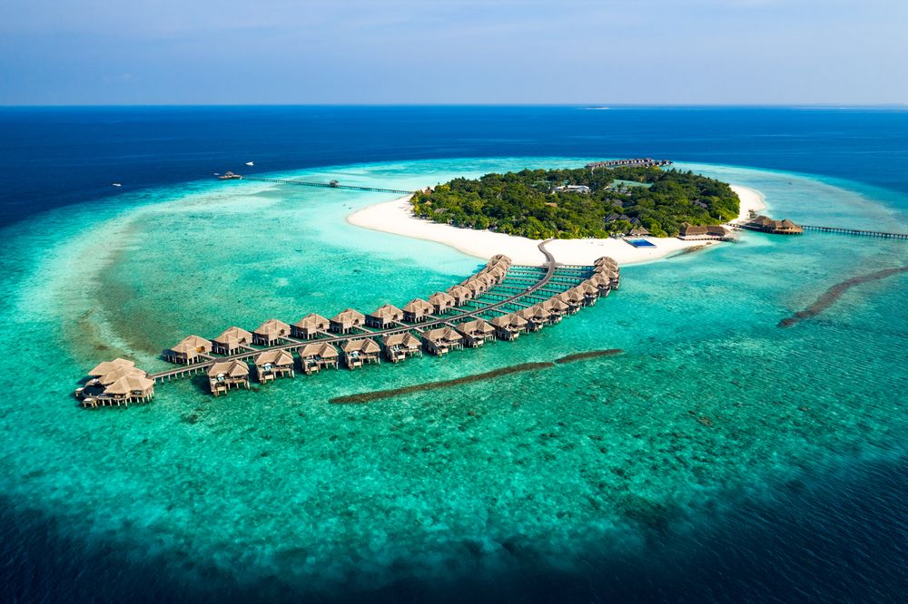 JA Manafaru фото 37