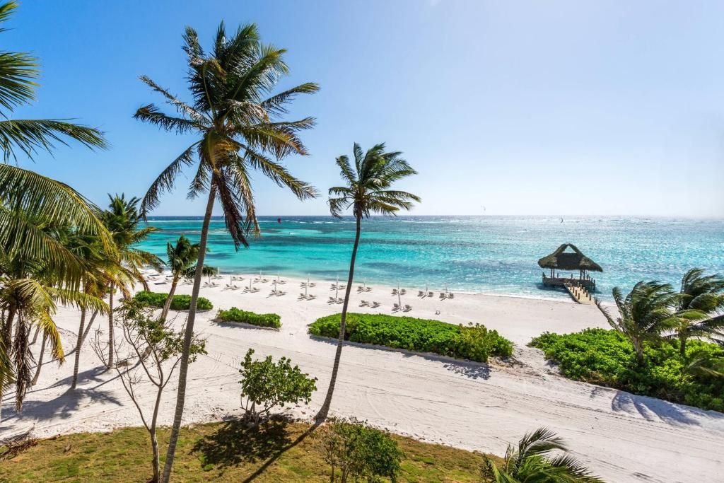 The Westin Puntacana Resort & Club фото 45