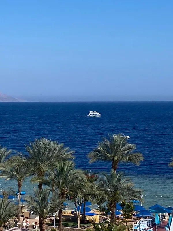 Pickalbatros Royal Grand Resort Sharm El Sheikh (Adults Only) фото 131