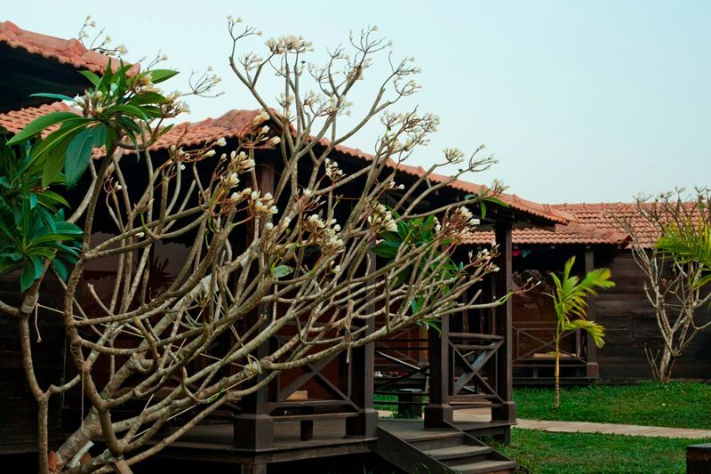 Eco Woods Village фото 4