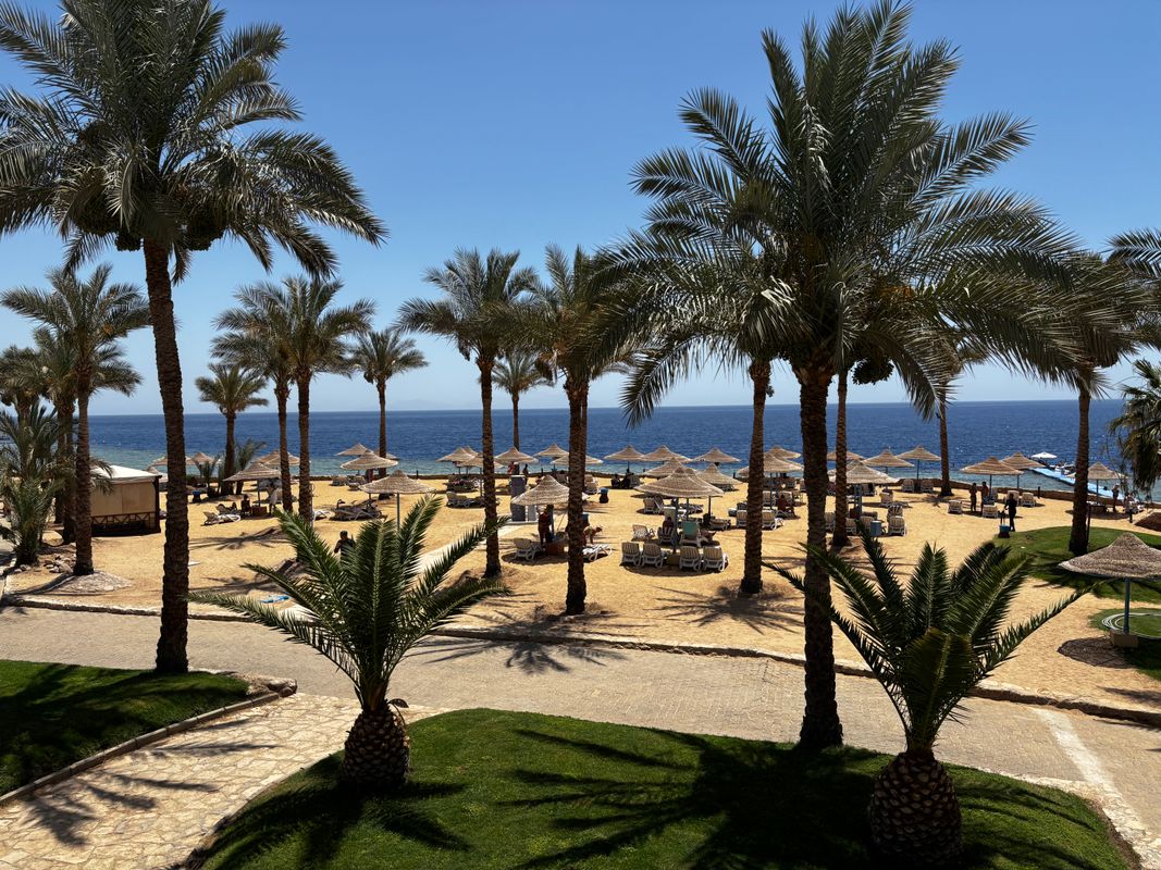 Queen Sharm Resort фото 109