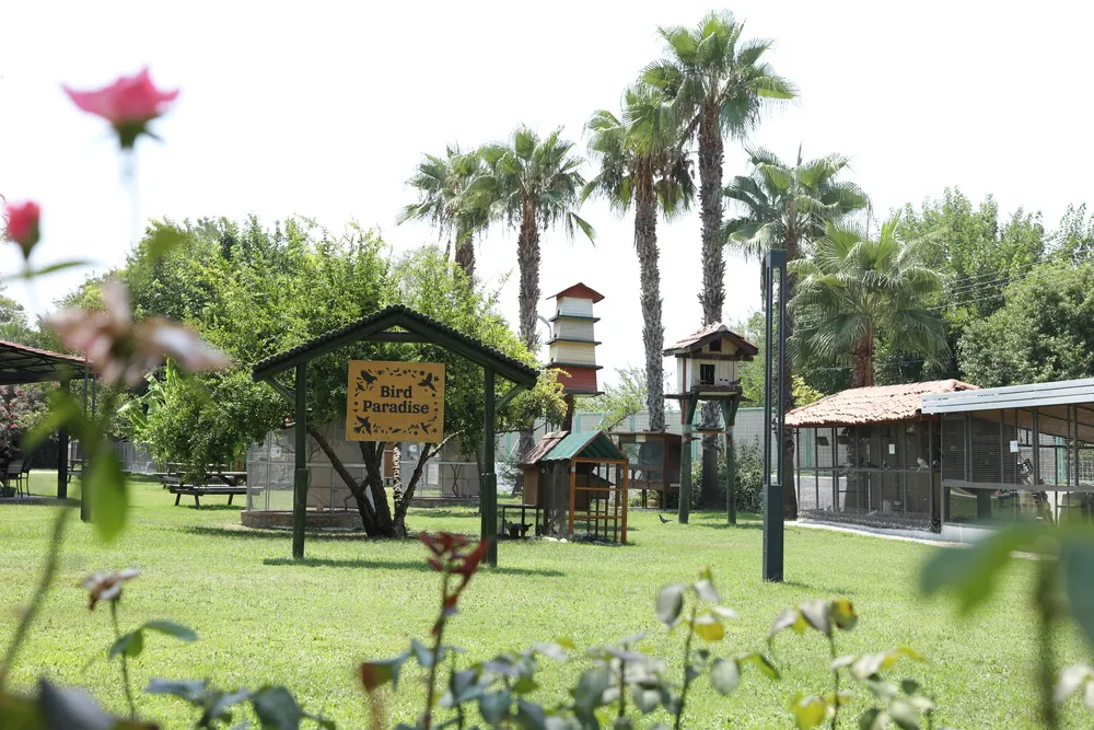 Club Tuana Fethiye фото 125