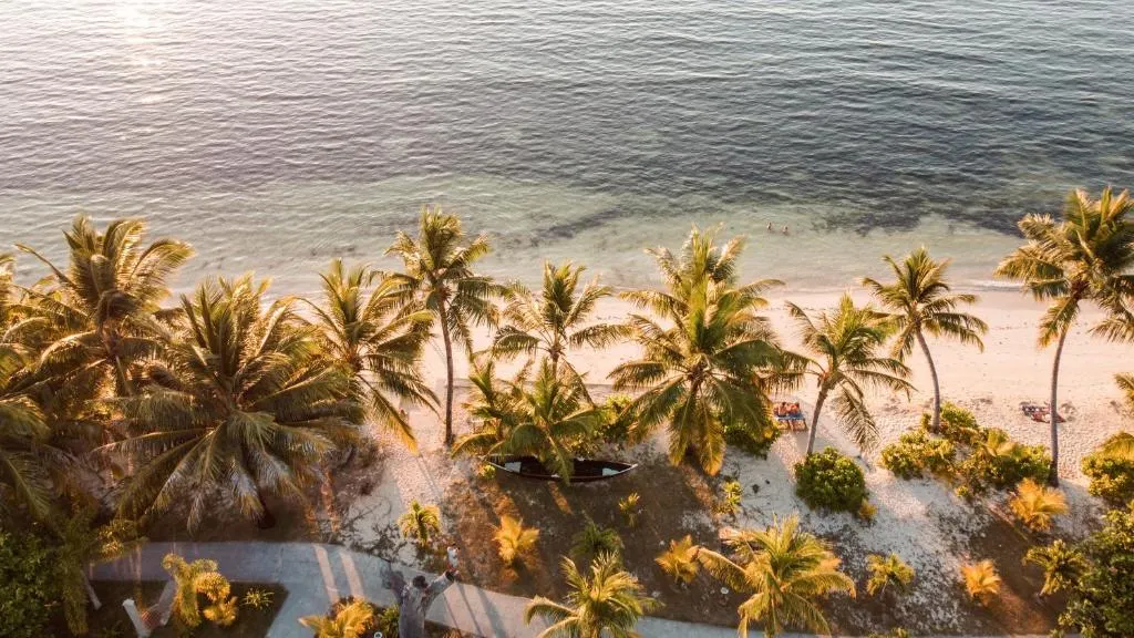 La Digue Island Lodge фото 37
