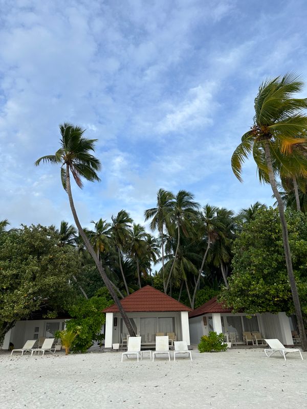 Diamonds Thudufushi Maldives фото 24