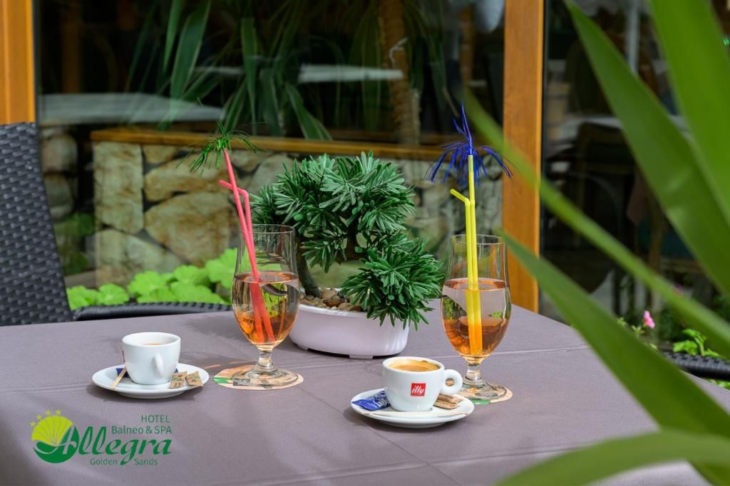 Hotel Allegra Balneo&Spa фото 3