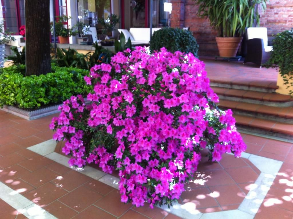Hotel Reale фото 21