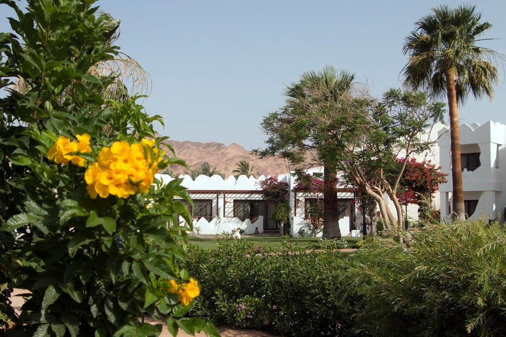 Swiss Inn Resort Dahab фото 75