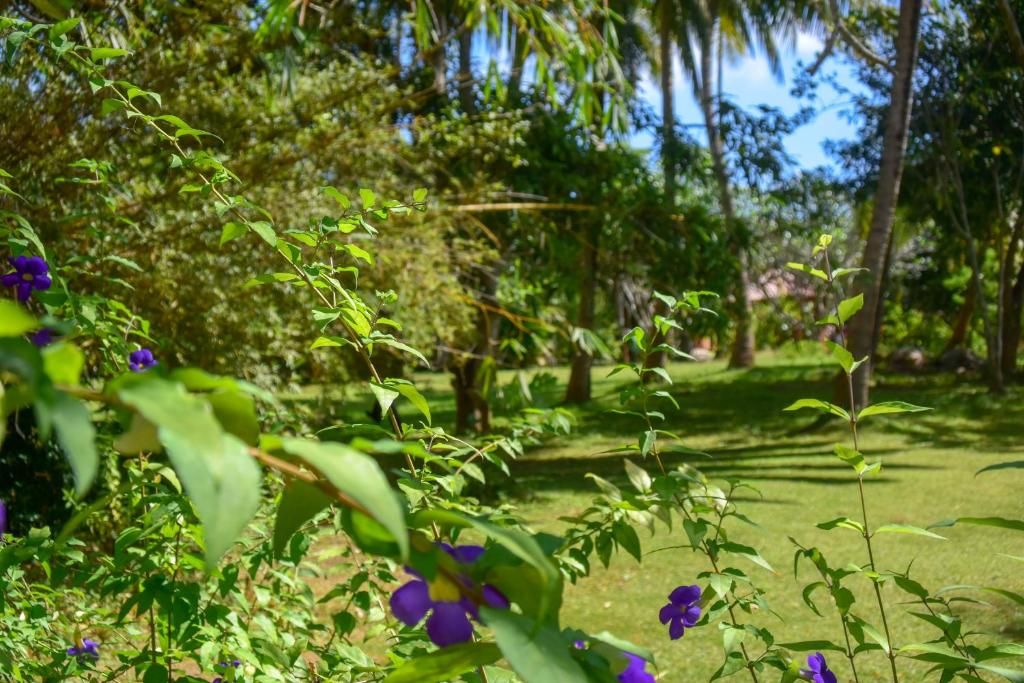 Eva Lanka Hotel фото 69