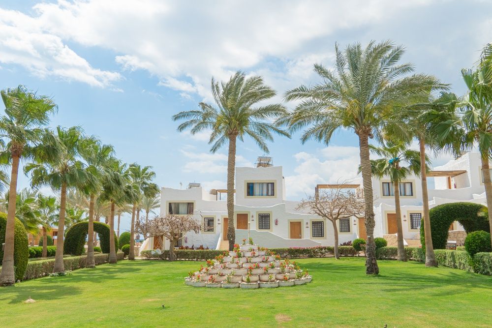 Sharm Club Beach Resort фото 198