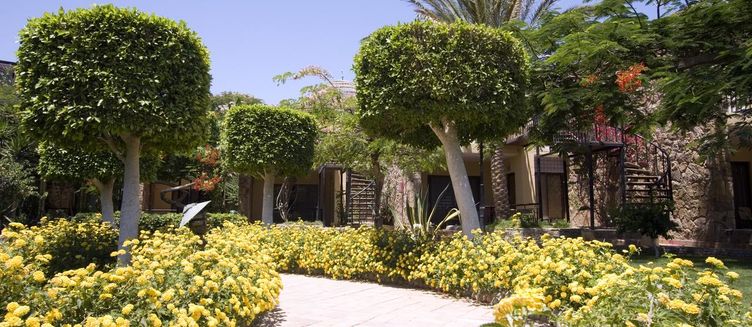 Фото отеля Jewels Sahara Boutique Resort