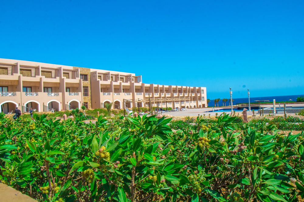 Viva Blue Resort & Diving Sharm El Naga (Adults Only) фото 76