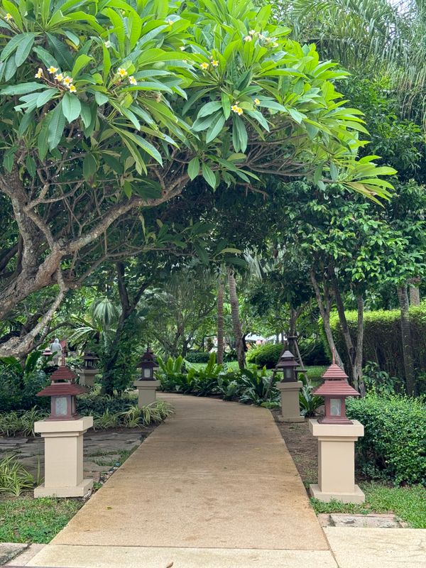 Ravindra Beach Resort & Spa фото 76
