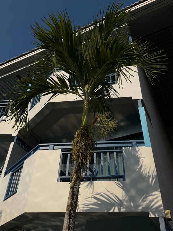 Phuket Island View Hotel фото 35