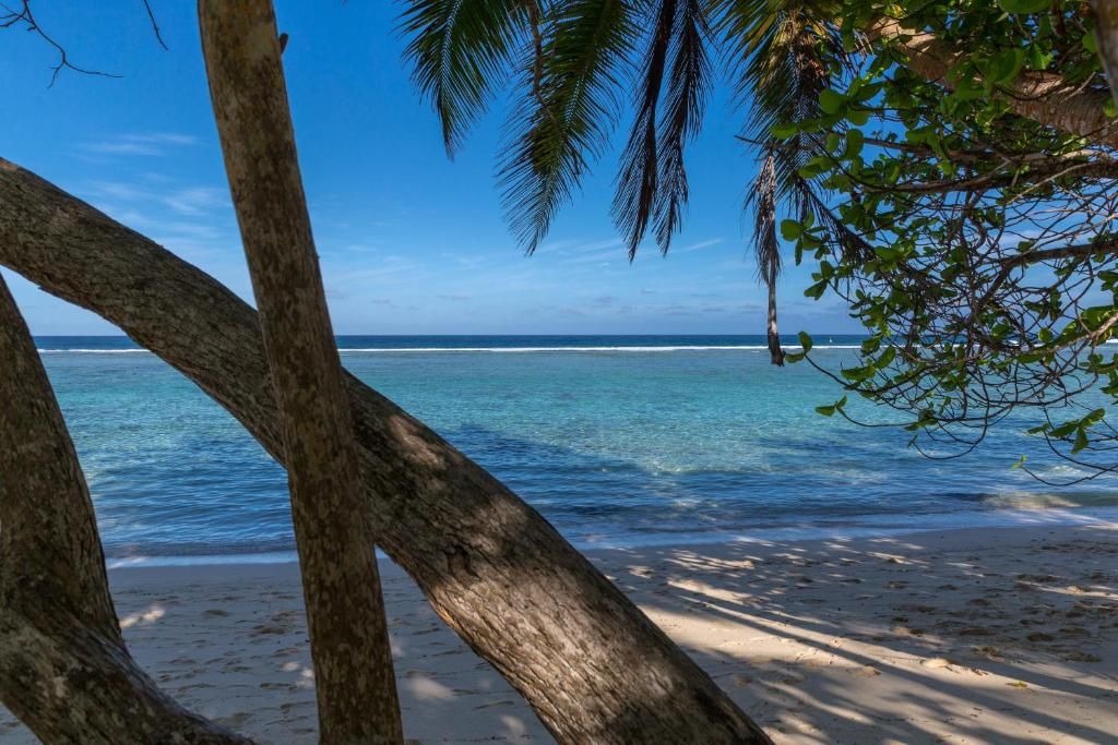 Chalets d'Anse Forbans SelfCatering фото 46
