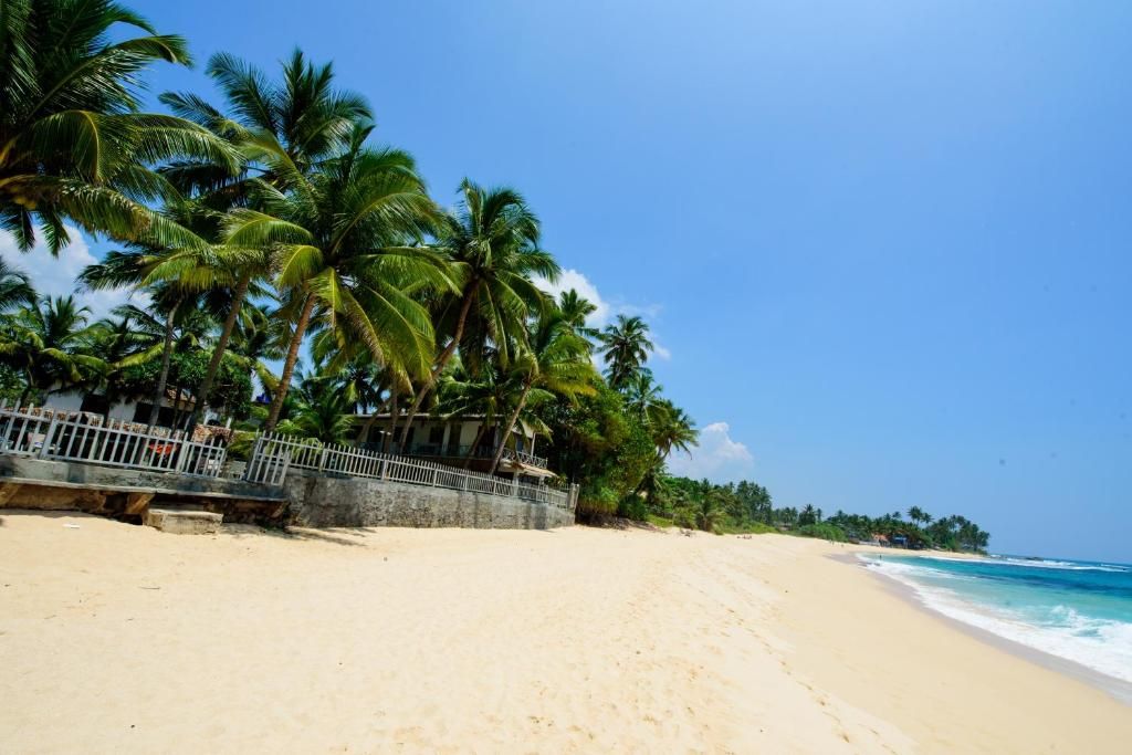 Amor Beach Unawatuna фото 5