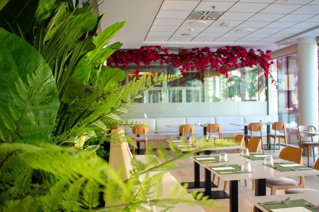 AR Diamante Beach Spa Hotel фото 60