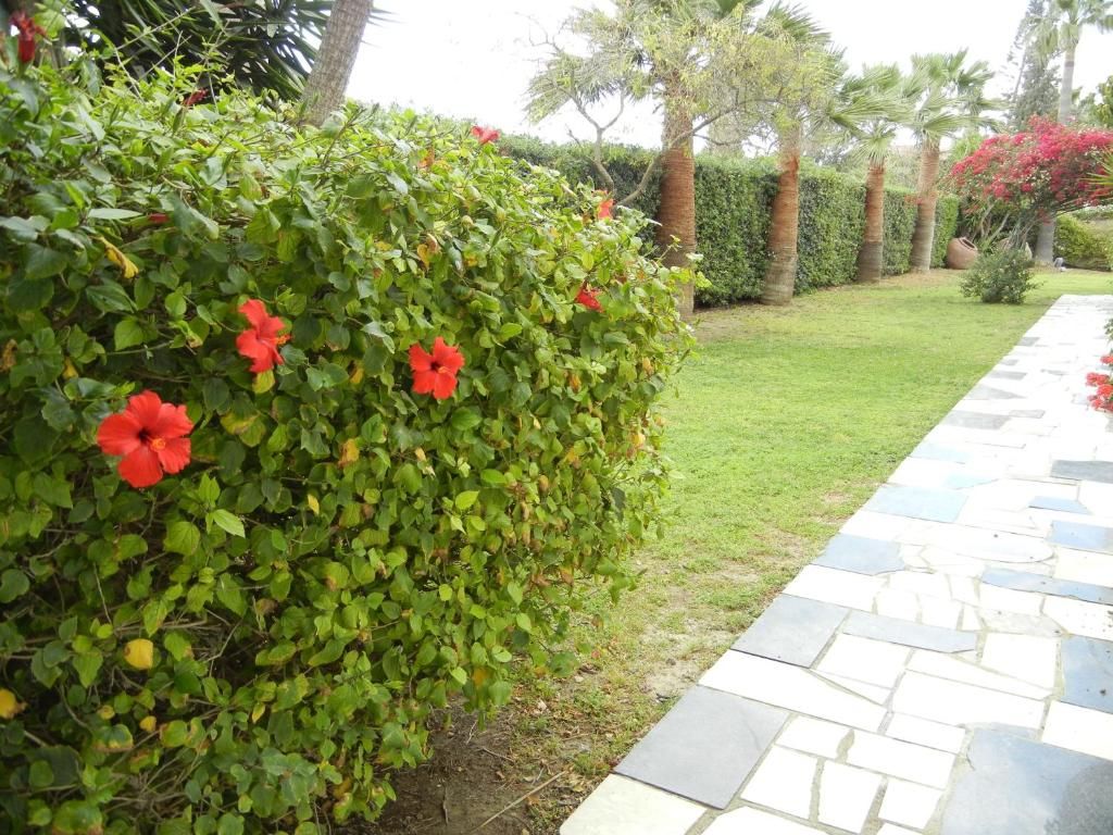 Tsialis Hotel Apartments фото 17