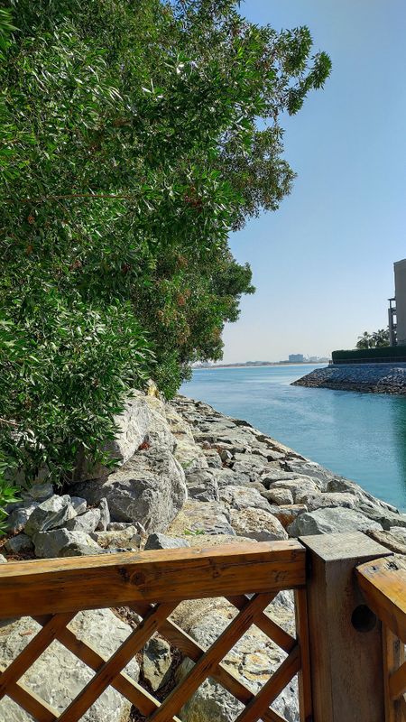 Movenpick Resort Al Marjan Island фото 49