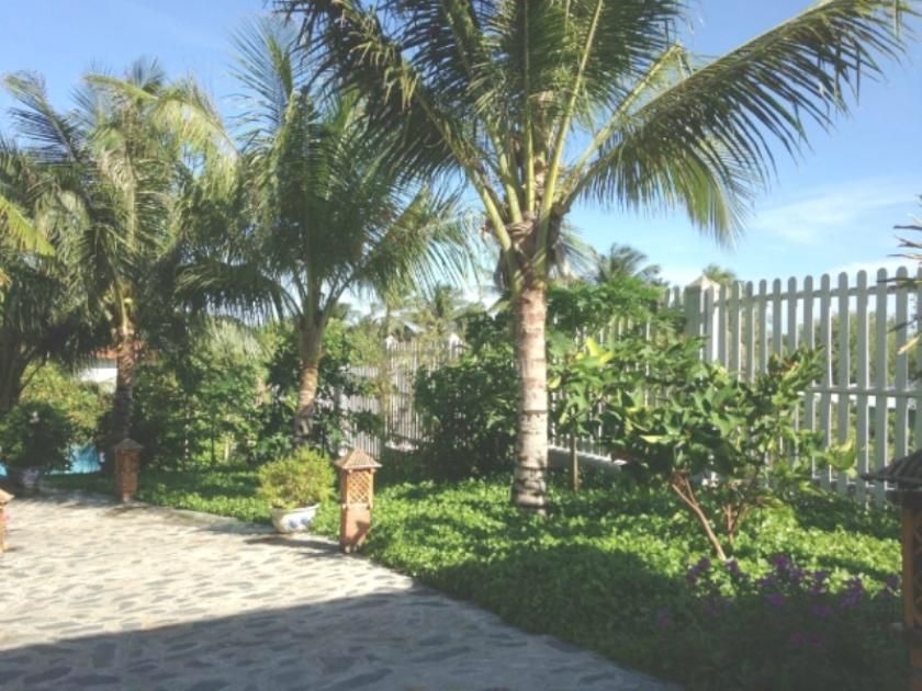 Sand Garden Resort фото 3