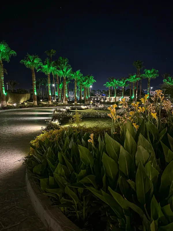 Safir Sharm Waterfalls Resort фото 68