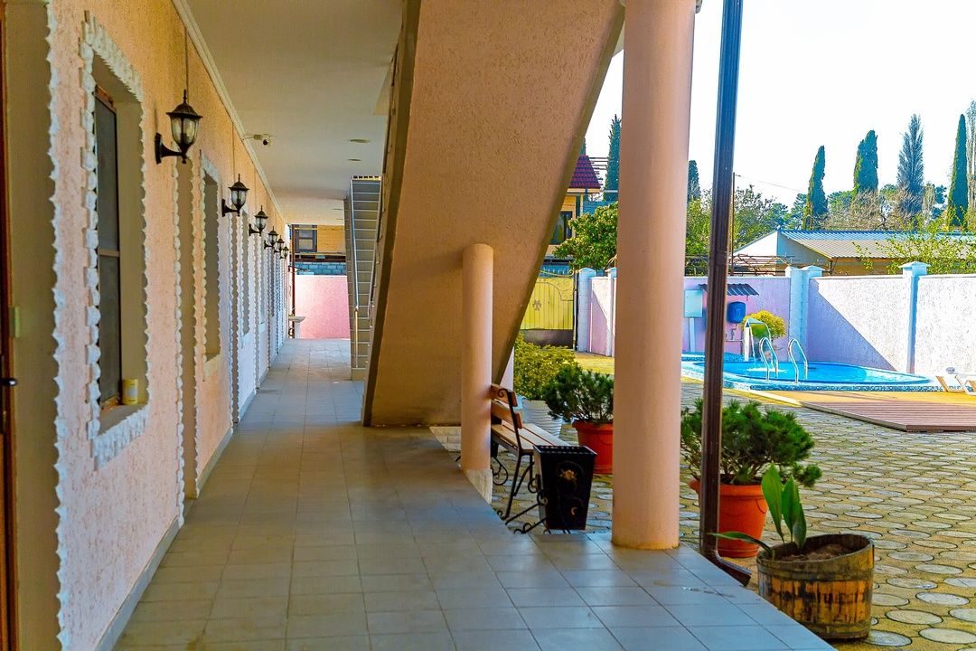Platan фото 63