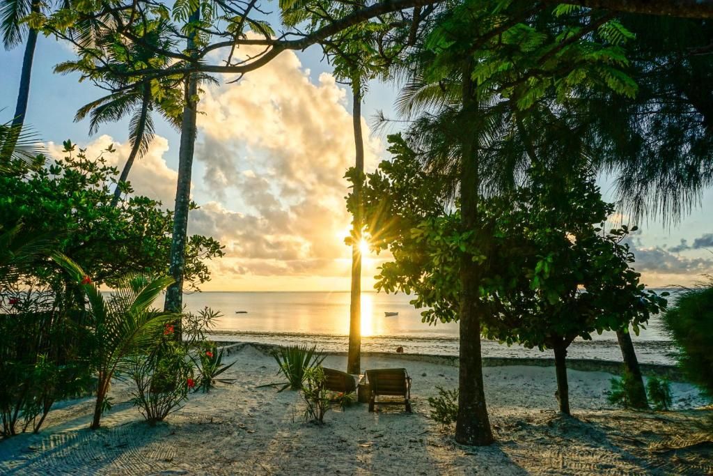 Indigo Beach Zanzibar Hotel фото 55