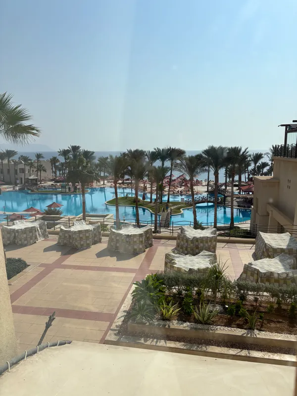 Grand Rotana Resort & Spa фото 75