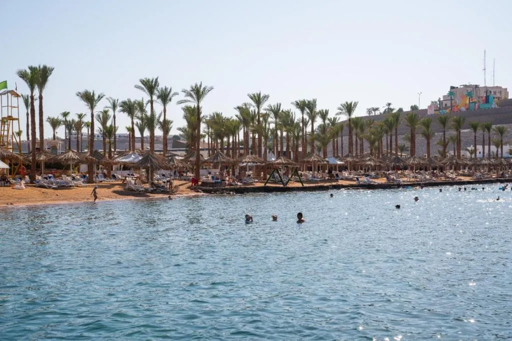 Seti Sharm Palm Beach Resort фото 134