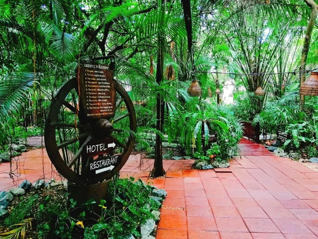 Birds & Bees Resort фото 55
