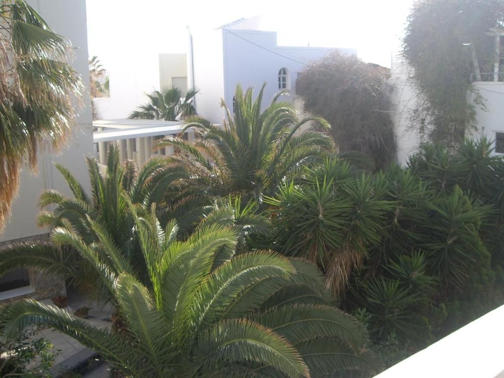 Poseidon Beach Hotel фото 16