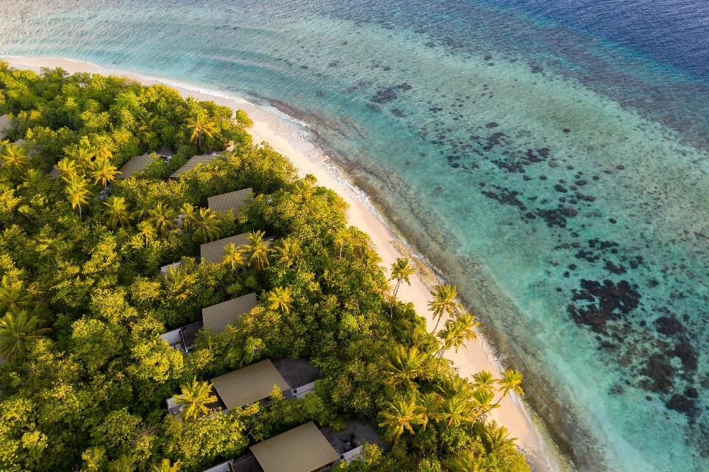 Park Hyatt Maldives Hadahaa фото 32