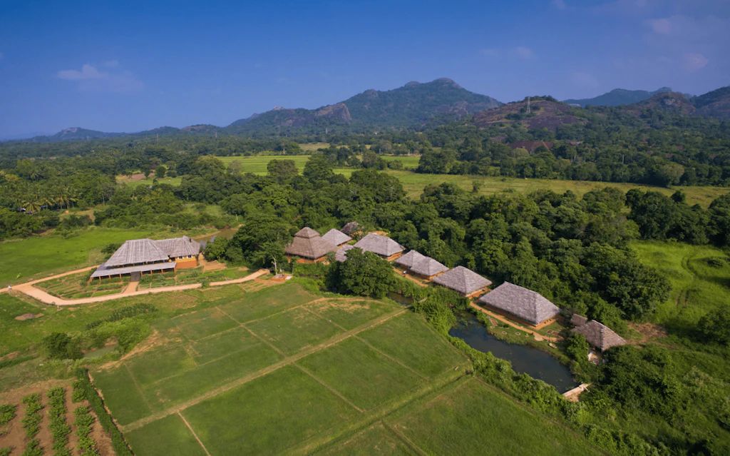 Amuna Ayurveda & Wellness Retreat фото 0