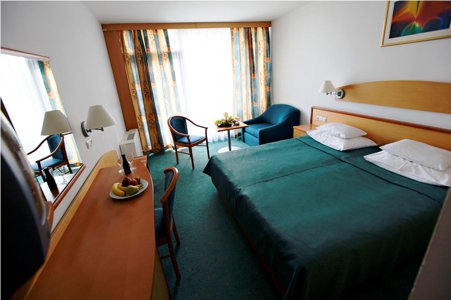 Hotel Termal - Terme 3000 - Sava Hotels & Resorts фото 46