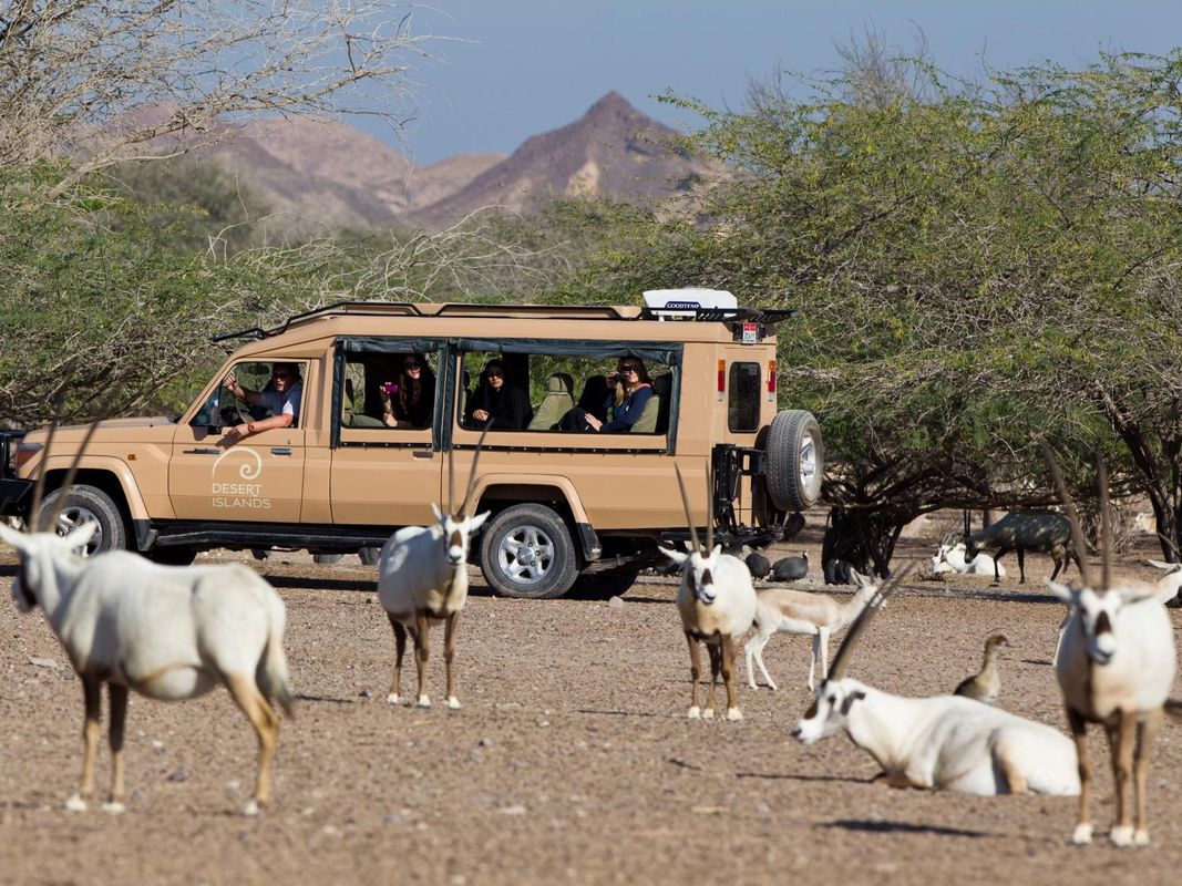 Anantara Sir Bani Yas Island Al Sahel Villa Resort фото 19