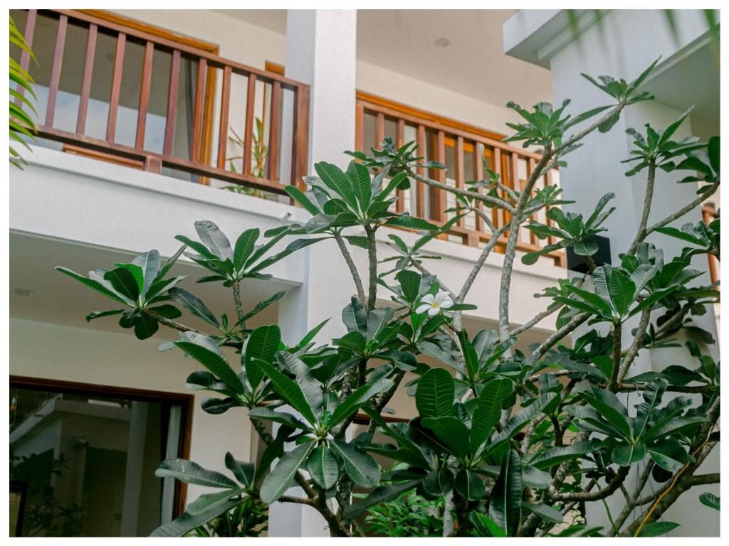 La Nube Residence фото 32