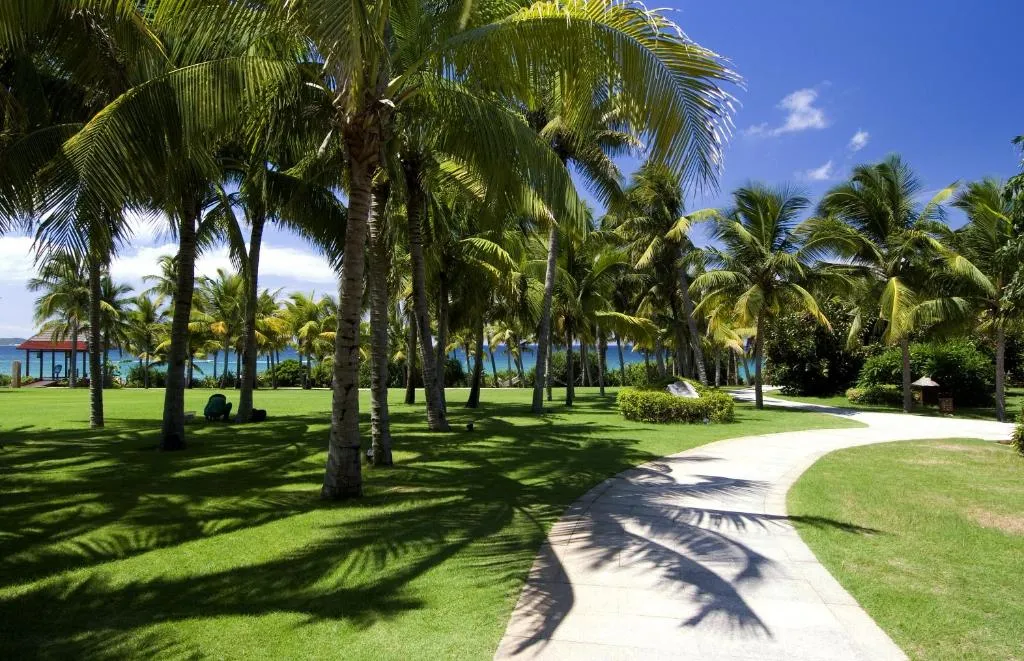 Yalong Bay Mangrove Tree Resort фото 64